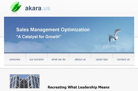 thumbnail of akara.us