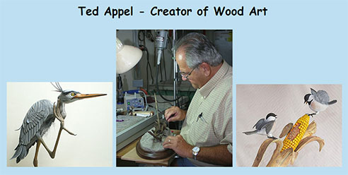 thumbnail of tedappel.com